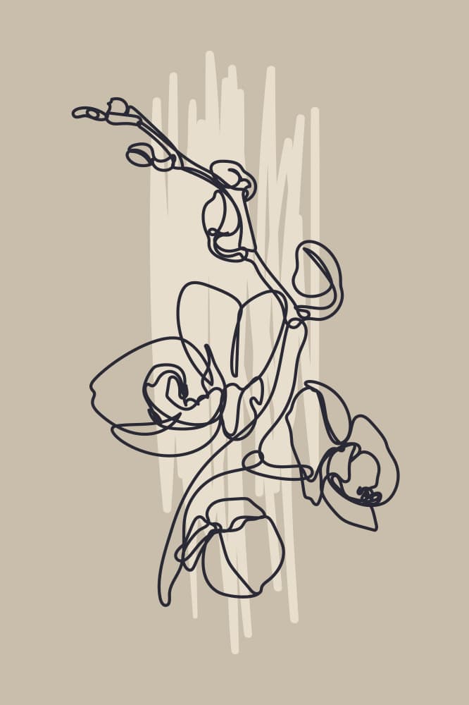 Elegant Orchid Line Art by Anna Rose — canvas wall art