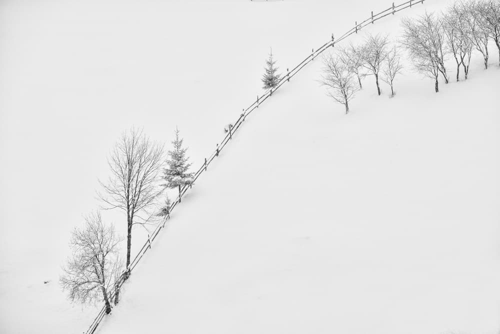 Stark Snowy Hillside by Lucian Constantin — canvas wall art