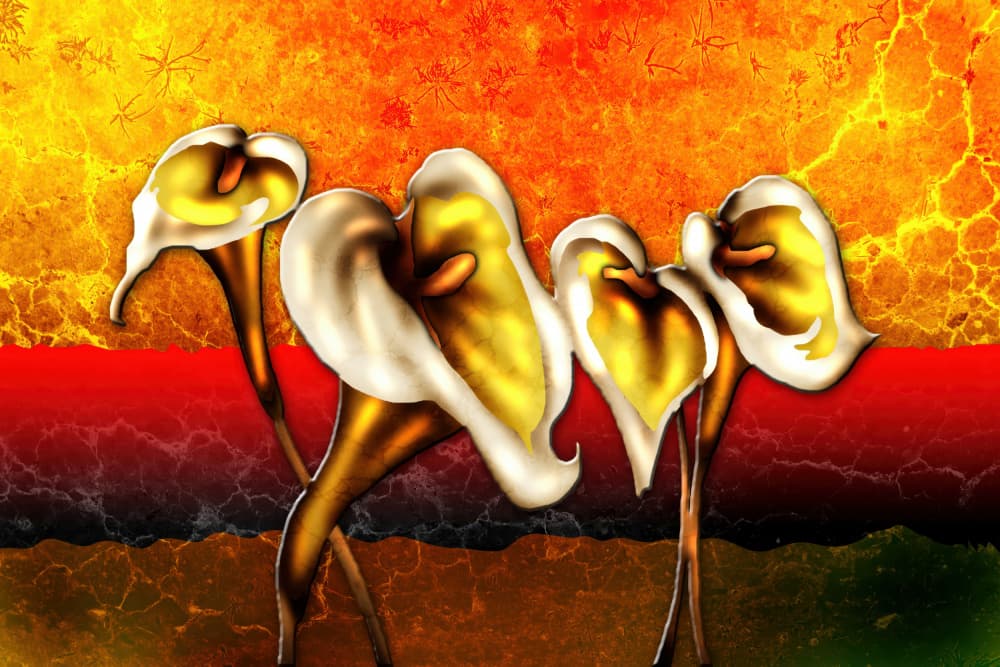 Golden Calla Blooms by Rafal Kulik — canvas wall art