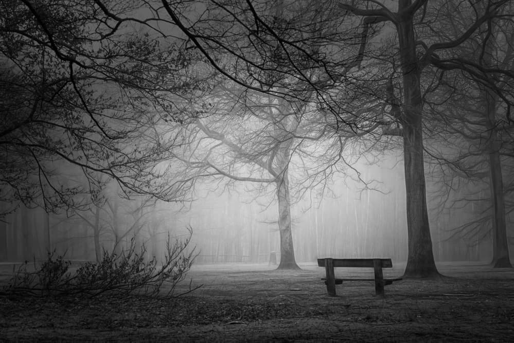 Foggy Park Bench by Saskia Dingemans — canvas wall art