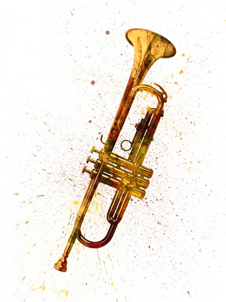 Golden Trumpet Splash by Michael Tompsett — canvas wall art