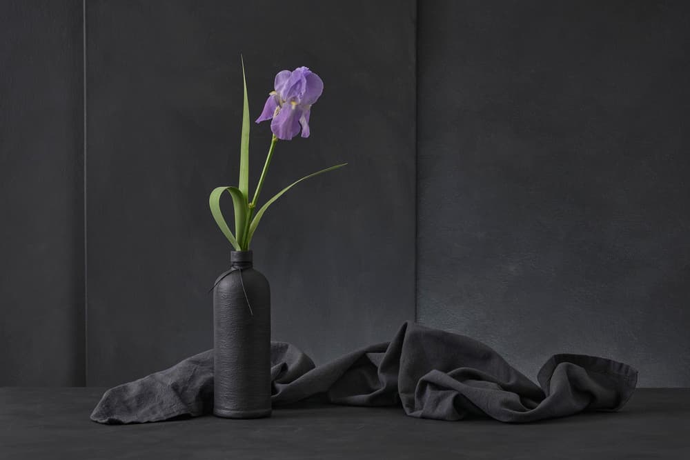 Dark Iris Still Life by Christophe Verot — canvas wall art