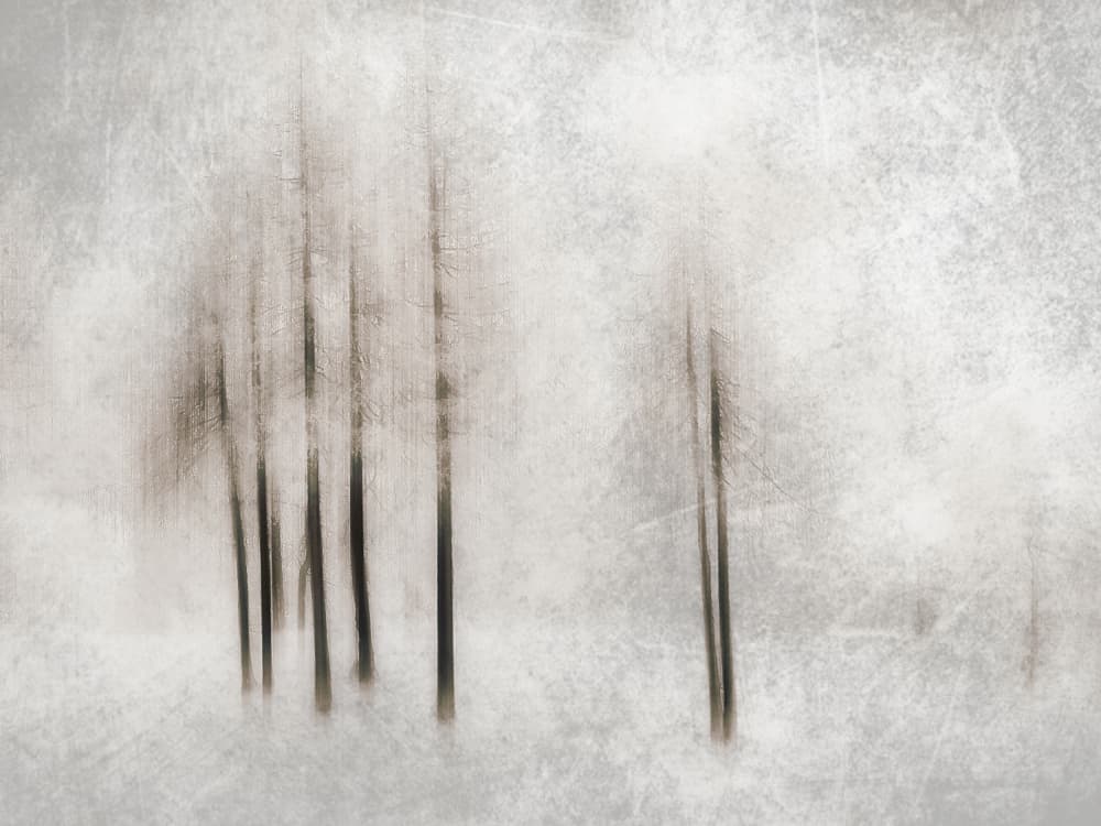 Misty Winter Trees by Filippo Manini — canvas wall art