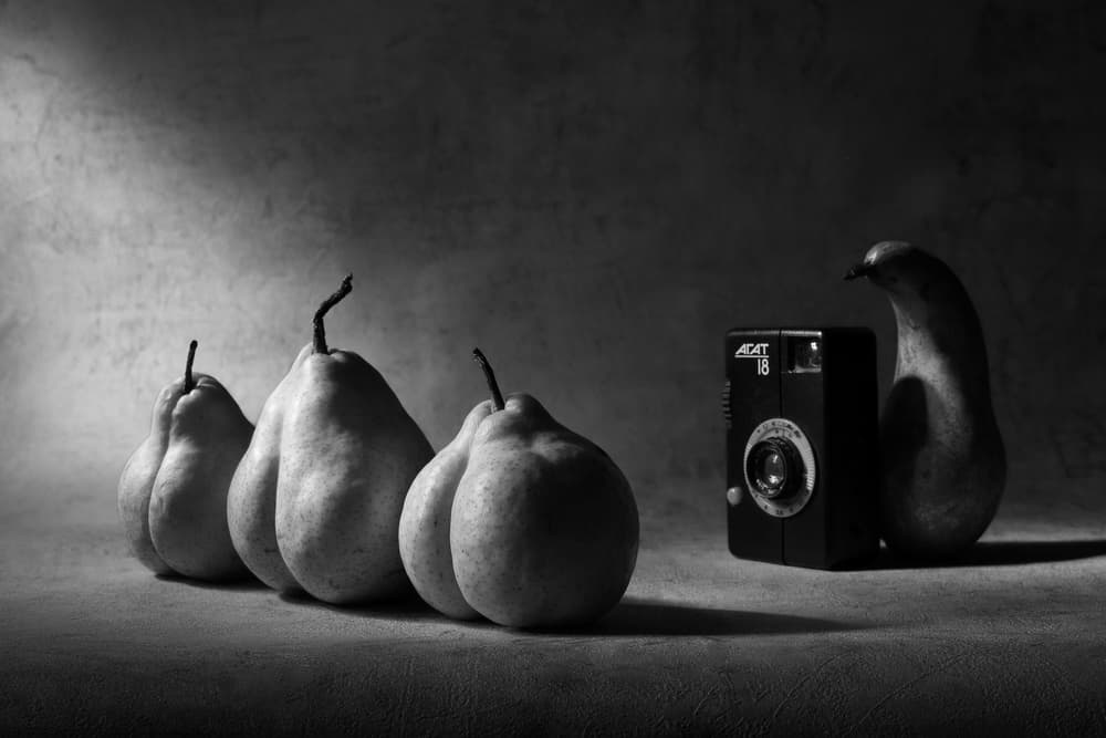 Monochrome Pears and Camera by Victoria Glinka — canvas wall art
