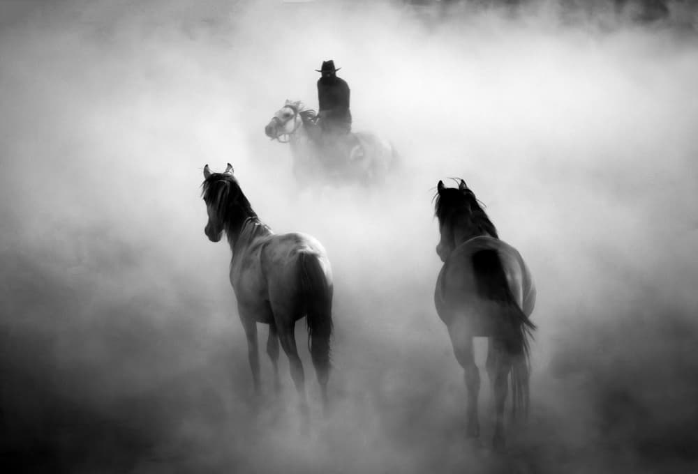 Cowboy and Dusty Horses by Gilcan Mete — canvas wall art