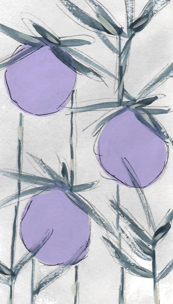 Purple Botanical Fruits by Lori Ann Folz — canvas wall art