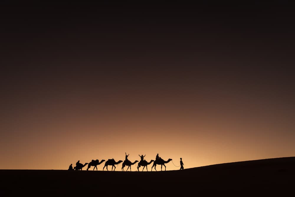 Desert Caravan Silhouette by Dan Mirica — canvas wall art