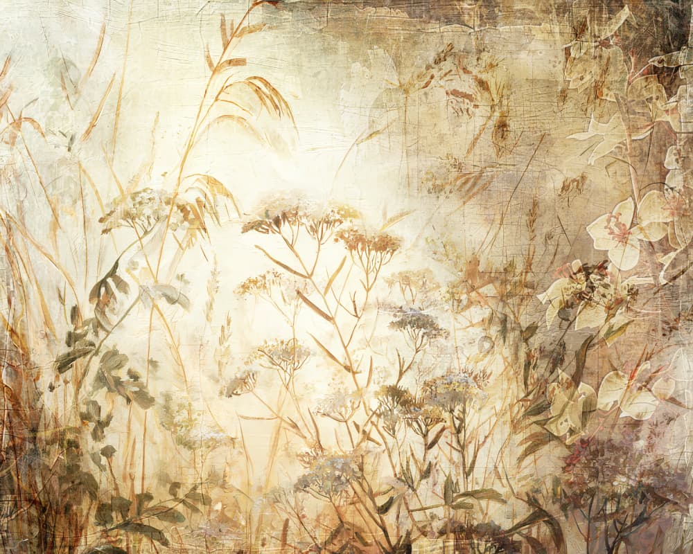 Faded Wildflower Field by Rafal Kulik — canvas wall art