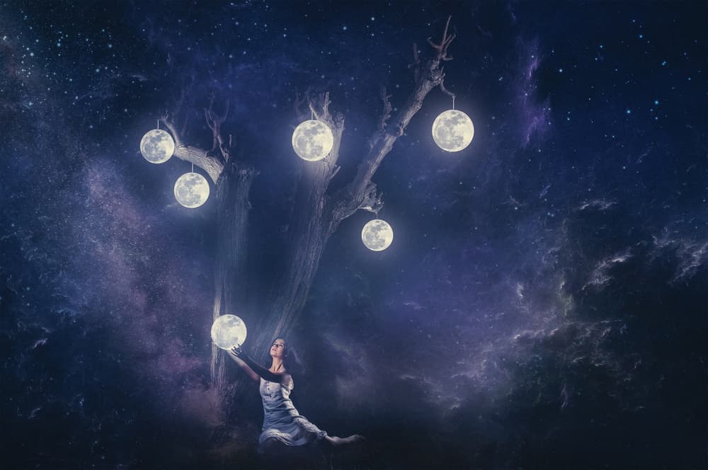 Moonlit Tree Fantasy Night by Evgeny Loza — canvas wall art