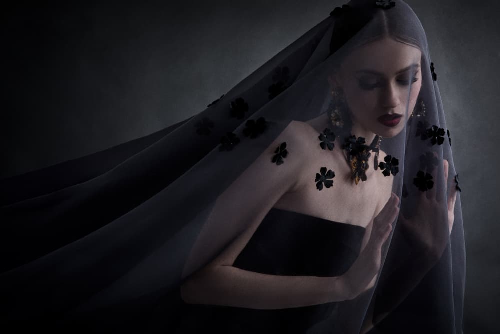 Mysterious Veiled Woman by Tatya Lushchyk — canvas wall art