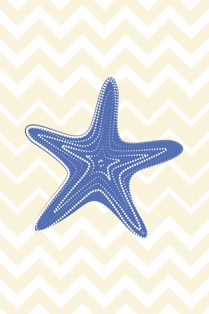 Blue Starfish Chevron by Martina — canvas wall art