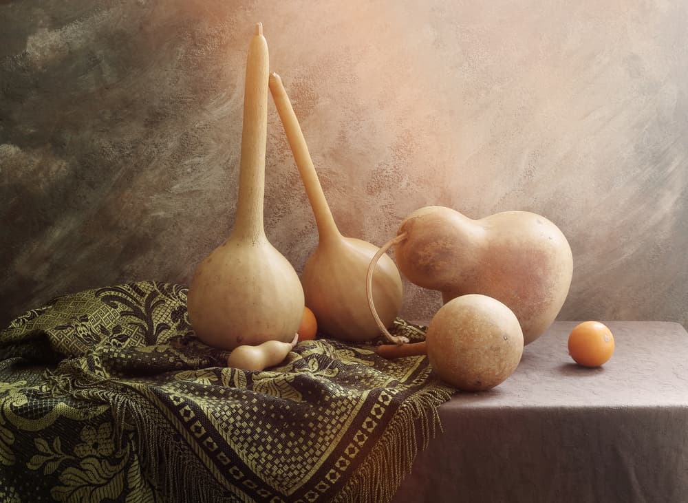 Natural Gourd Still Life by UstinaGreen — canvas wall art