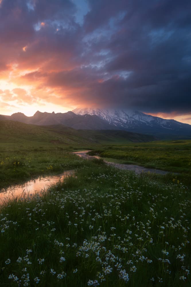 Wildflower Meadow Sunset Stream by Ali Fallahzadeh — canvas wall art