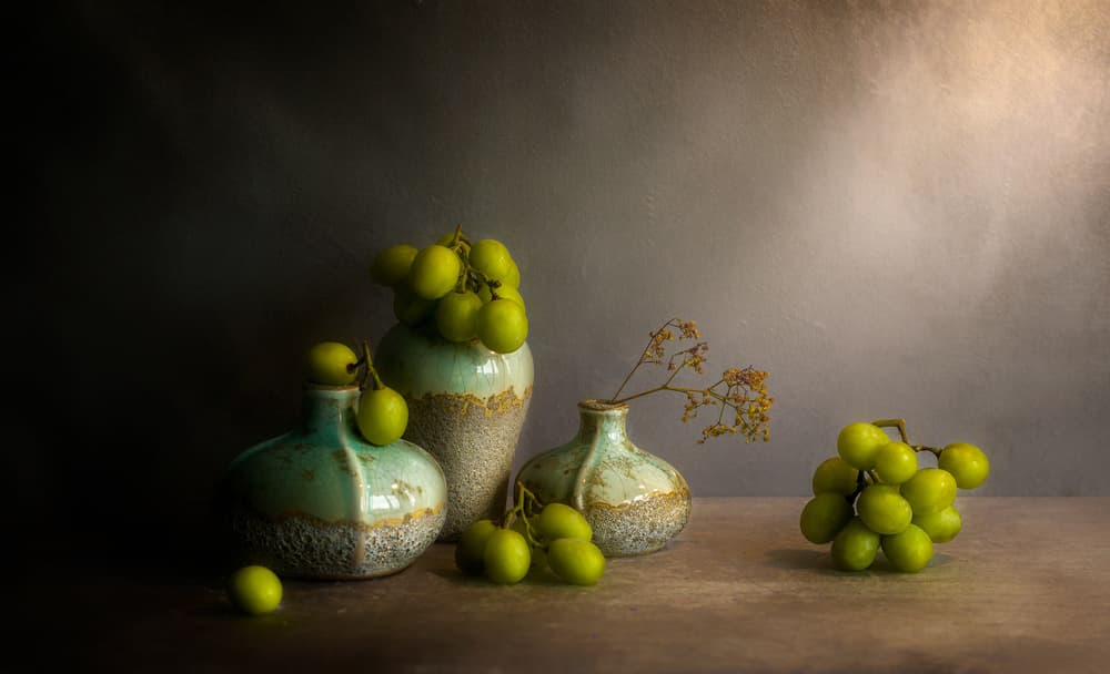 Moody Grapes Still Life by Jie Fischer — canvas wall art