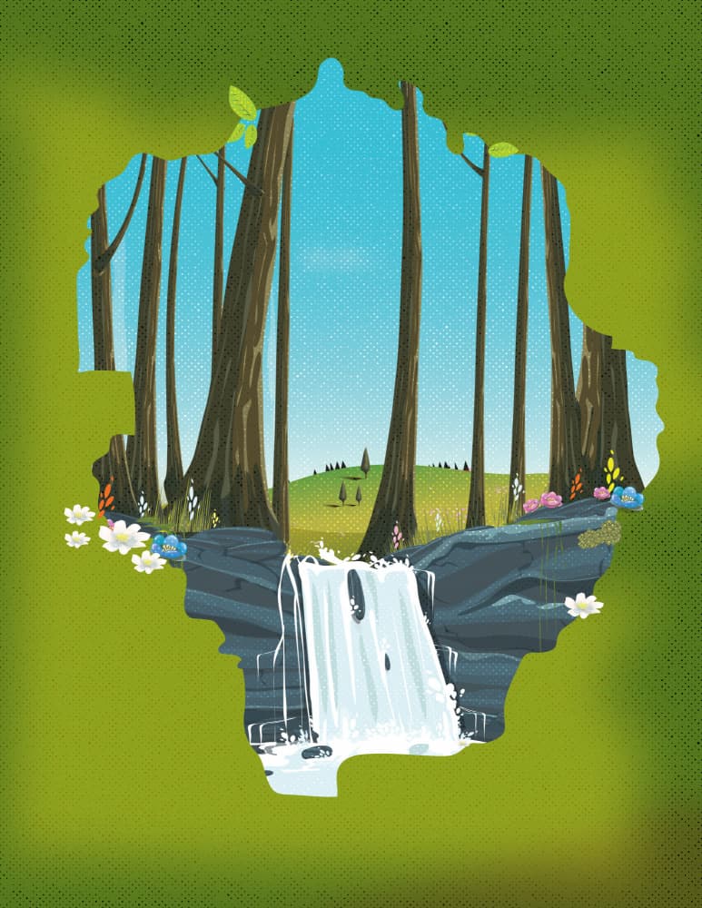 Serene Forest Waterfall by Nicholas — canvas wall art