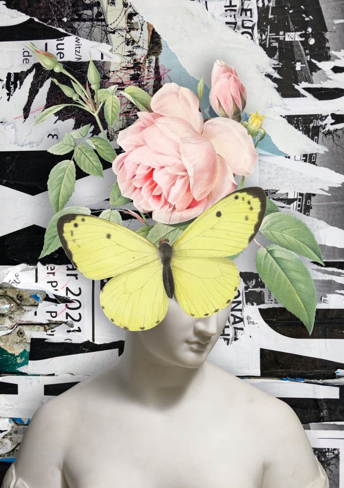 Butterfly Rose Bust by Marja van den Hurk — canvas wall art