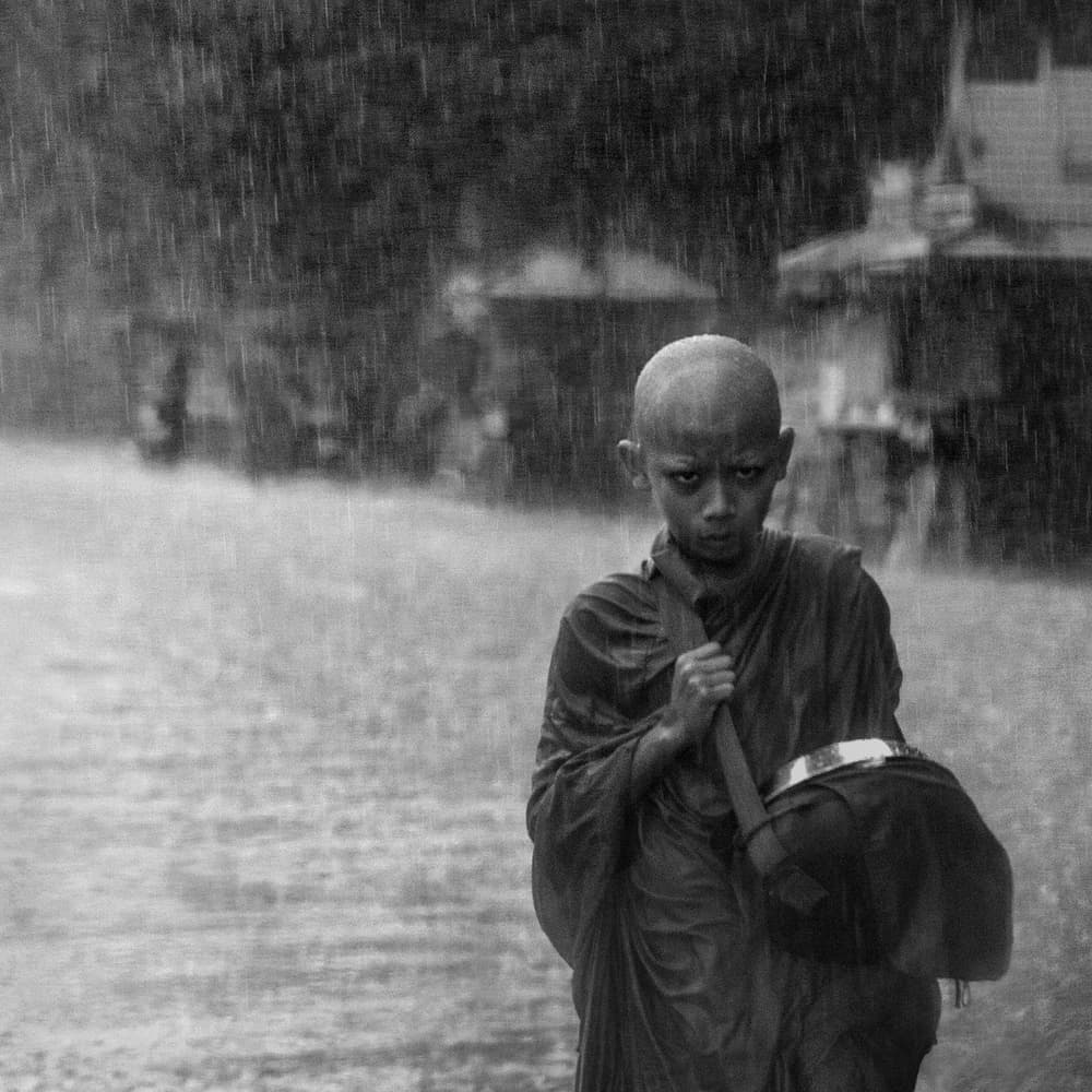 Resilient Monk in Rain by Ekkachai Khemkum — canvas wall art