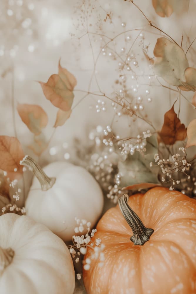 Cozypumpkinimpressionno06 by Treechild — canvas wall art