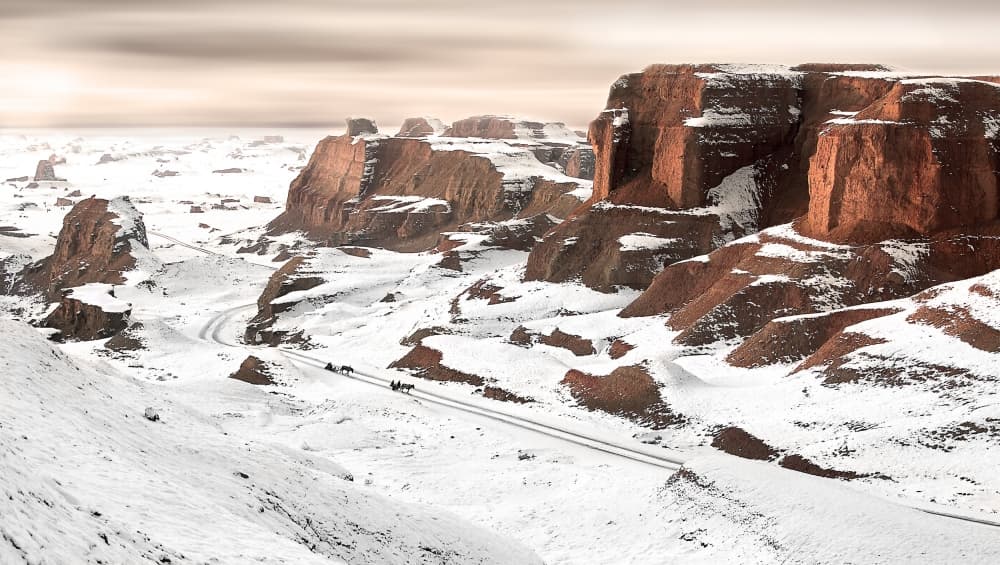 Winter Red Rock Desert by BJ Yang — canvas wall art