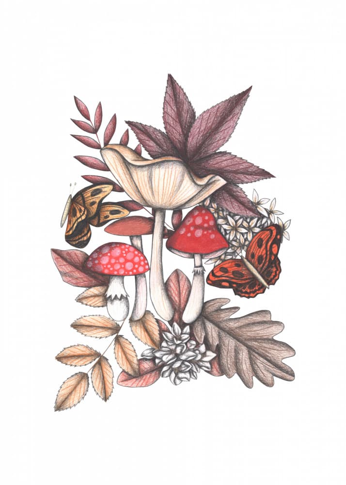 Whimsical Mushroom Gathering by Cecilia Battaini — canvas wall art