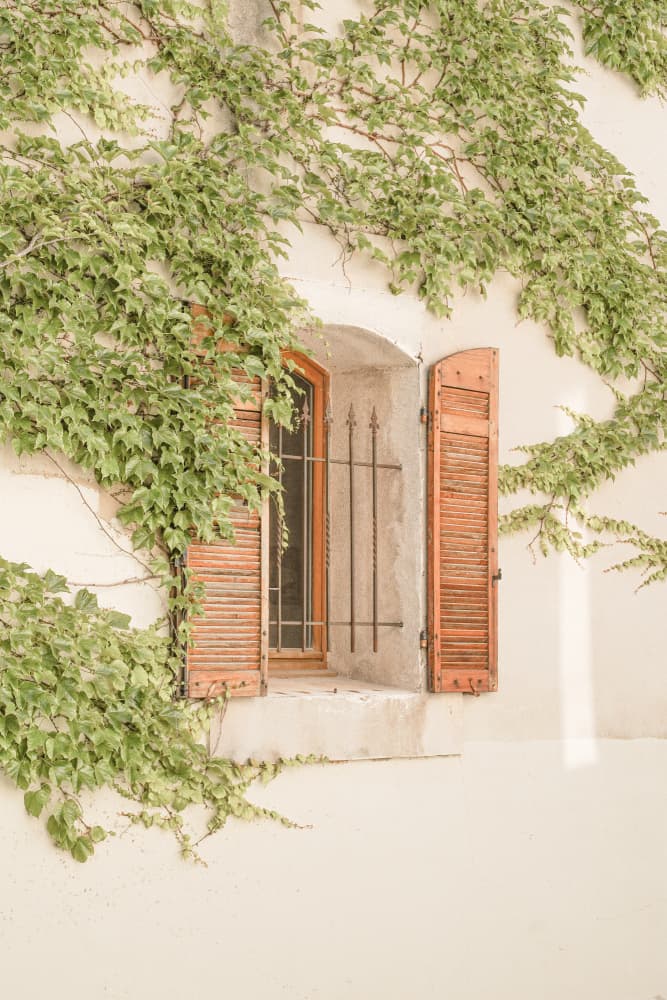 Rustic Window With Ivy by Henrike Schenk — canvas wall art