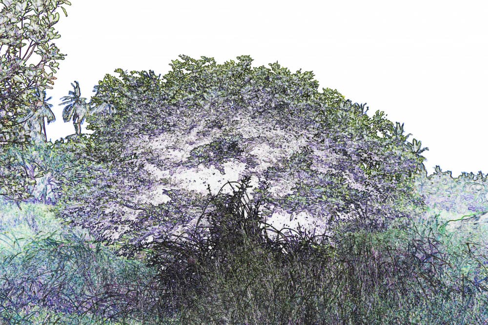 Stylized Forest Canopy by Santhosh ch — canvas wall art