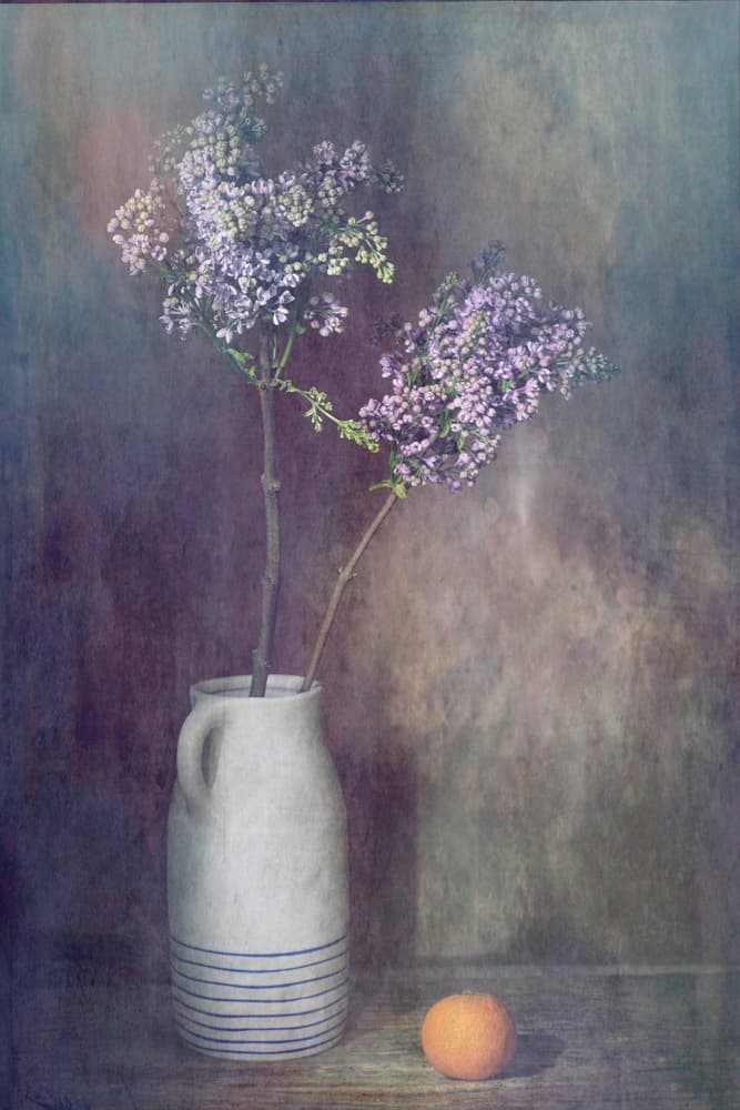Rustic Lilac Still Life by Saskia Dingemans — canvas wall art