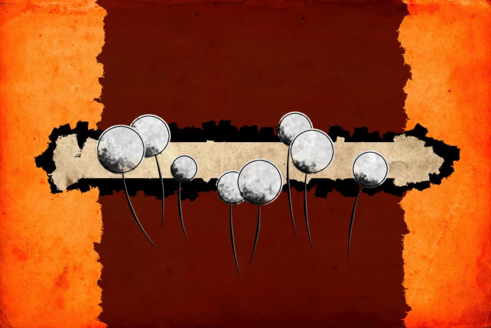 Earthy Dandelion Moons by Rafal Kulik — canvas wall art