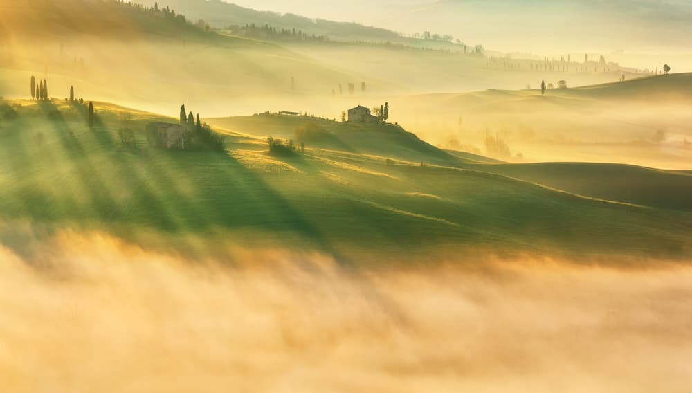 Misty Morning Sun Rays by Krzysztof Browko — canvas wall art