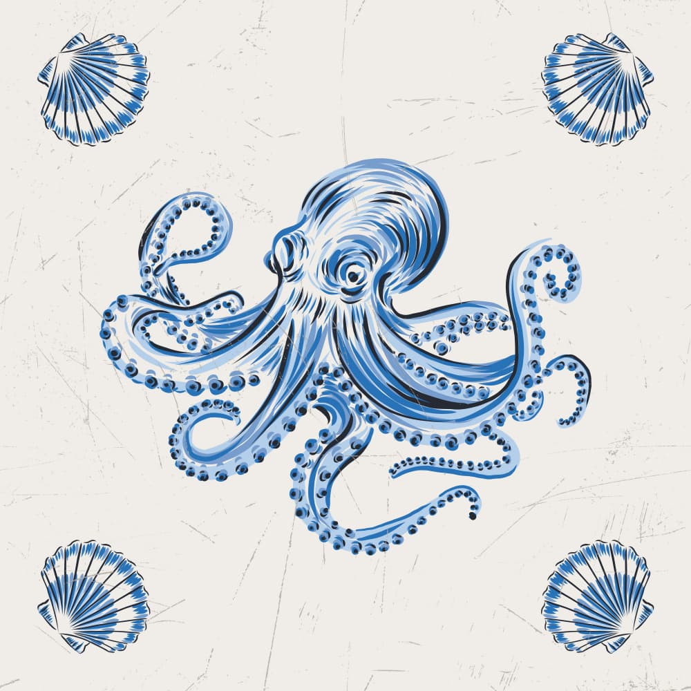 Nautical Octopus And Shells by Alexandra Weise — canvas wall art