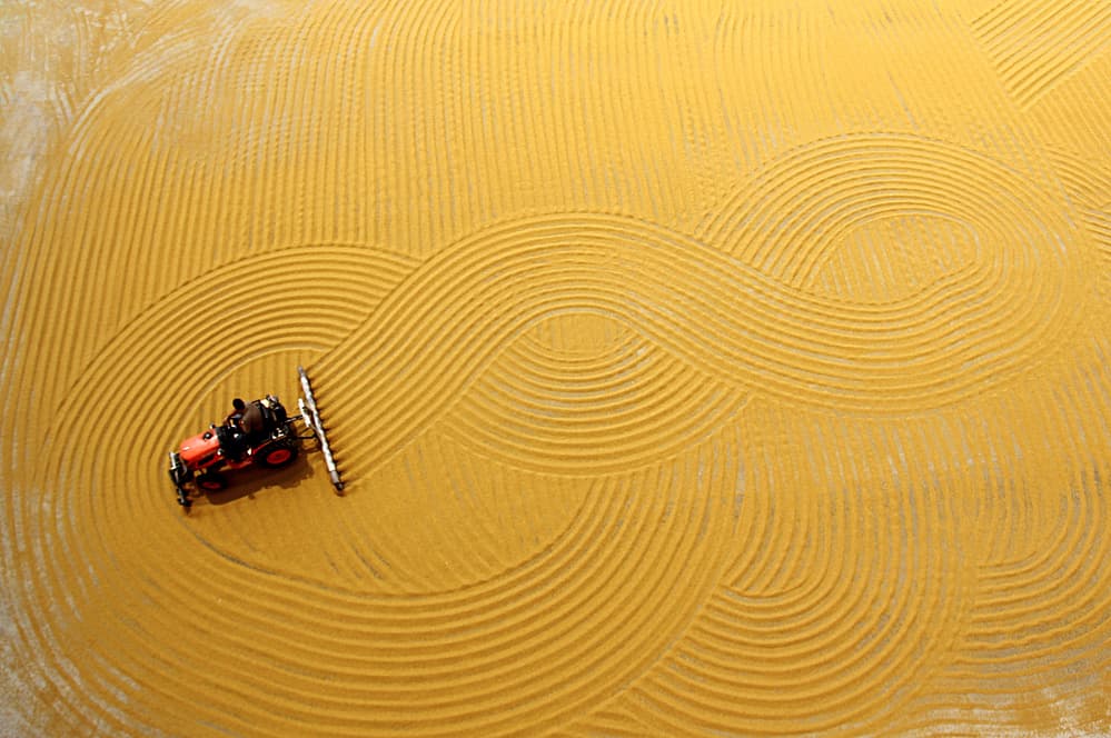Golden Field Patterns by Emine Basa — canvas wall art