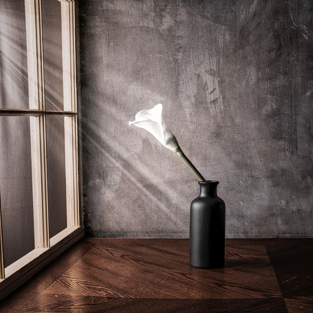 Sunlit Calla Lily Vase by Rob Ryan — canvas wall art