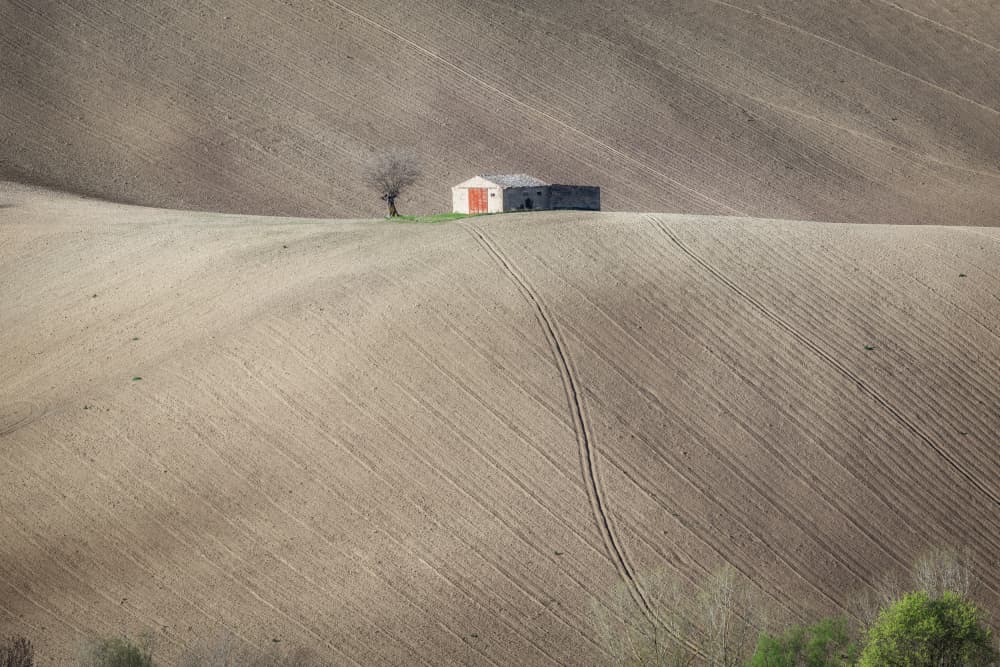 Solitary Farm Fields by Sergio Barboni — canvas wall art