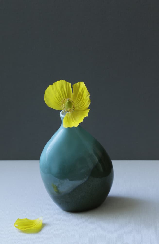 Serene Poppy in Teal by Alyson Fennell — canvas wall art