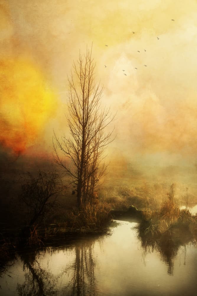 Misty Golden Waters by Rachel Pansky — canvas wall art