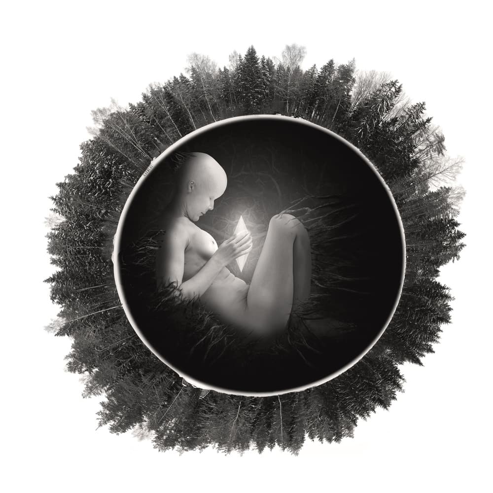 Ethereal Forest Figure by Roland Helerand — canvas wall art