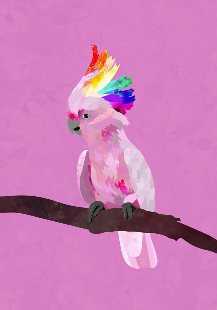 Rainbow Crest Cockatoo by Sarah Manovski — canvas wall art