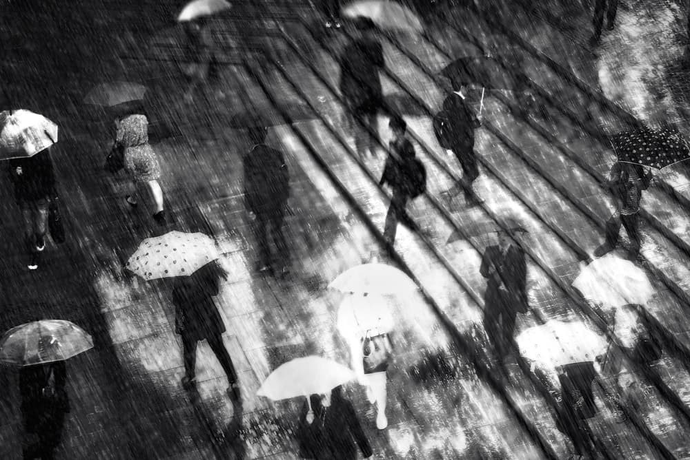 Rainy City Umbrellas by Teruhiko Tsuchida — canvas wall art