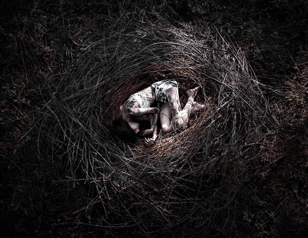 Loneliness in the nest by HIM — canvas wall art