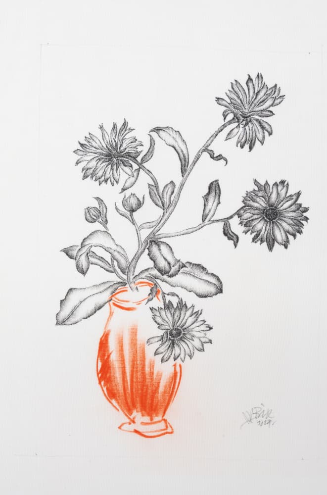 Orange Vase Botanical Drawing