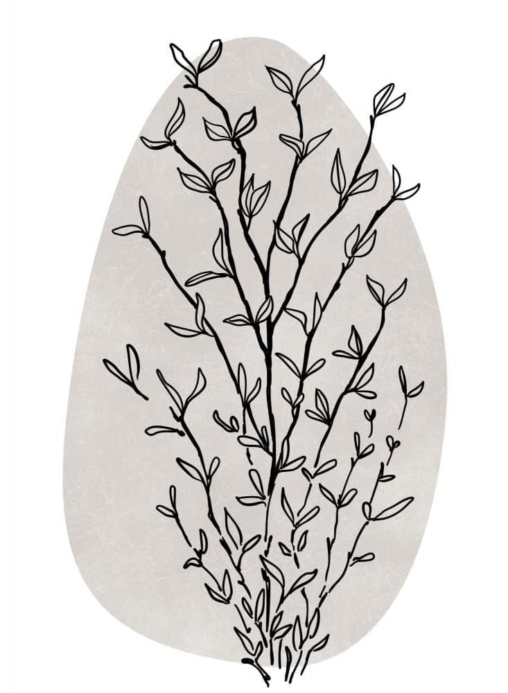 Minimalist Botanical Lines by Rosana Laiz Blursbyai — canvas wall art