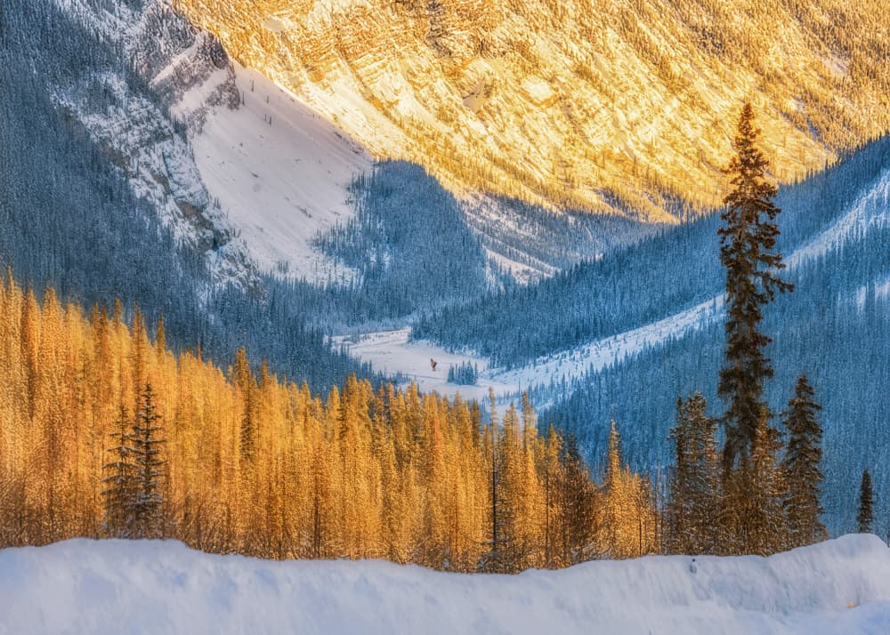 Golden Valley Winter by Leechee Z — canvas wall art