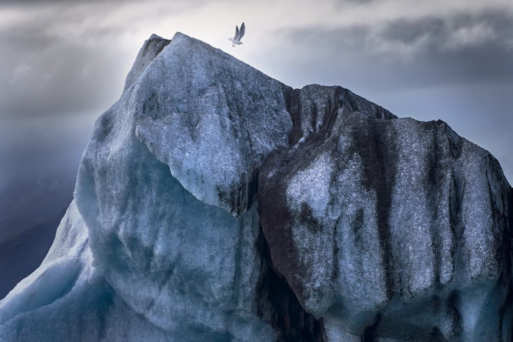 Majestic Iceberg and Bird by queverenislandia.es — canvas wall art