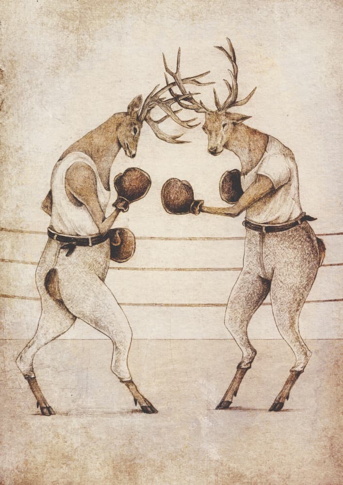 Deer Fight Vintage Style