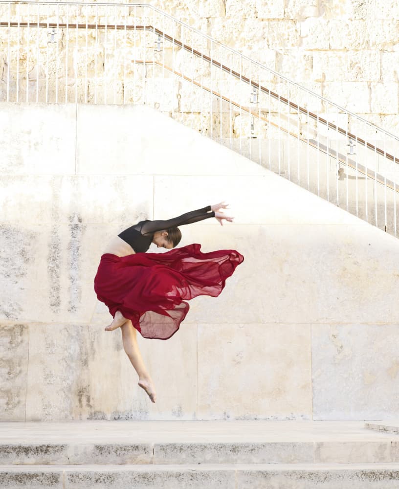 Graceful Dancer's Leap by Renata Apanaviciene — canvas wall art