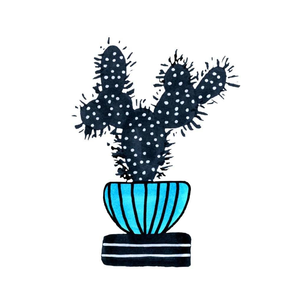 Graphic Potted Cactus by Michele Channell — canvas wall art
