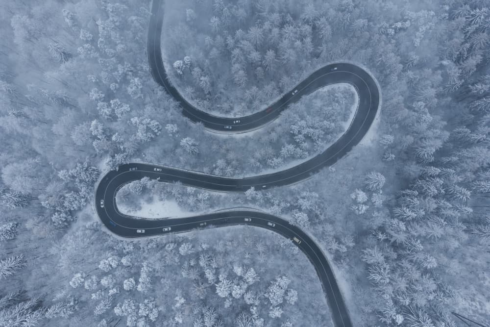 Winding Winter Forest Road by Alexandru Ionut Coman — canvas wall art