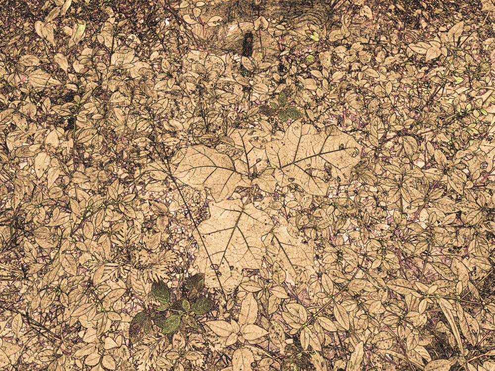 Textured Earthy Foliage by Santhosh ch — canvas wall art