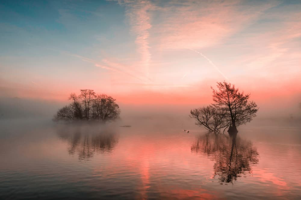Misty Lake Sunrise Reflection by Radojica Jevric fotorax — canvas wall art