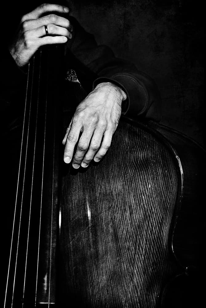 Jazz Bass Hands by Nicoleta Gabor — canvas wall art